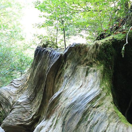 Miyanouraso Hotel Yakushima  Bagian luar foto